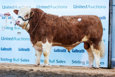 249-Blackford-Hurricane-9000gns-4660 edit
