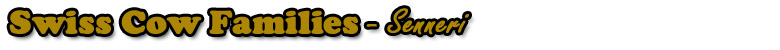 Senneri