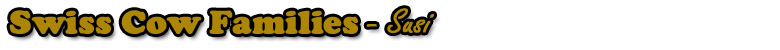 Susi
