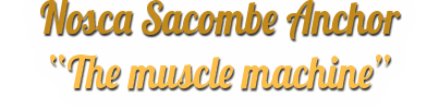 anchor