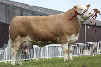fe Bridget's Coo 400px