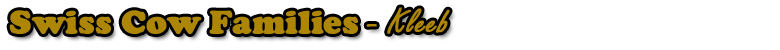 kleeb