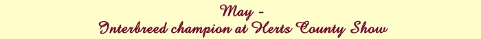 May 2007