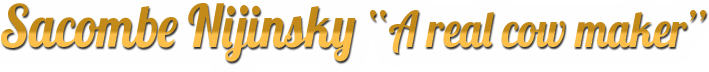 nijinksy