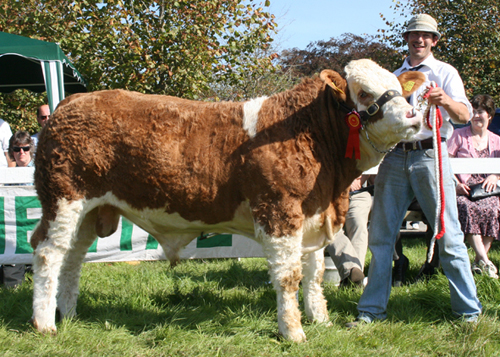 strokestown09 world class